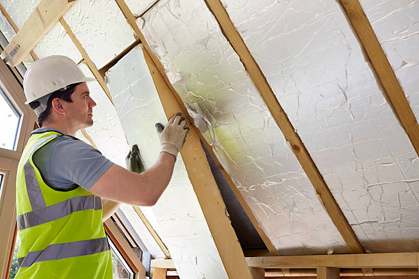 Best Eco-Friendly Insulation in Mansfield, OH